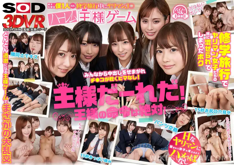 3DSVR-0696 【VR】男子生徒は僕1人だけ!?修学旅行中にヤリマンJ●と強●ハーレム王様ゲーム