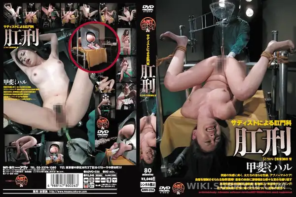 ADVO-026 肛刑 甲斐ミハル