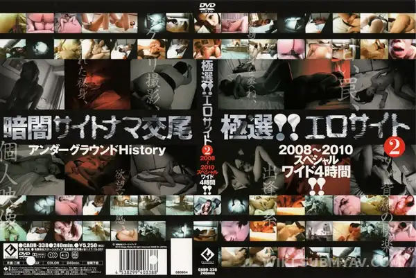 CADR-338 레전드급 일반인 털기: 2008-2010년 야생의 기록 4시간 풀버전