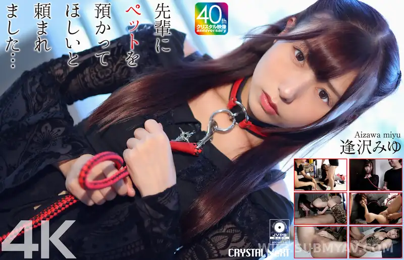 CRNX-271 *【4K】선배에게 애완동물을 맡겨달라고 부탁했습니다…아이자와 미유