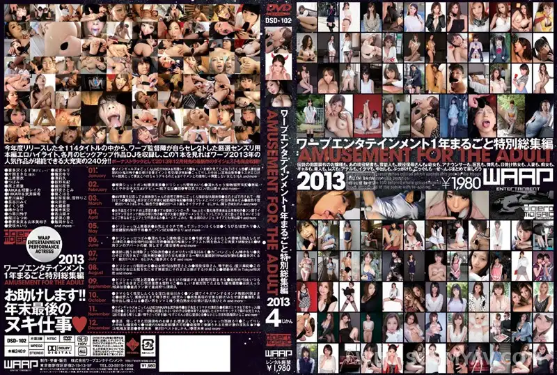 DSD-102 ワープエンタテインメント1年まるごと特別総集編 2013