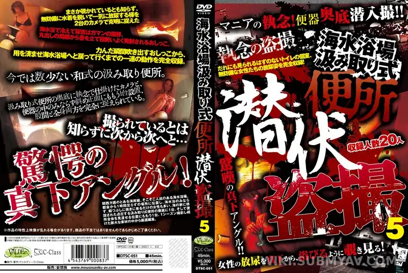 DTSC-051 해수욕장 재래식 화장실, 집념의 잠복 몰카 5