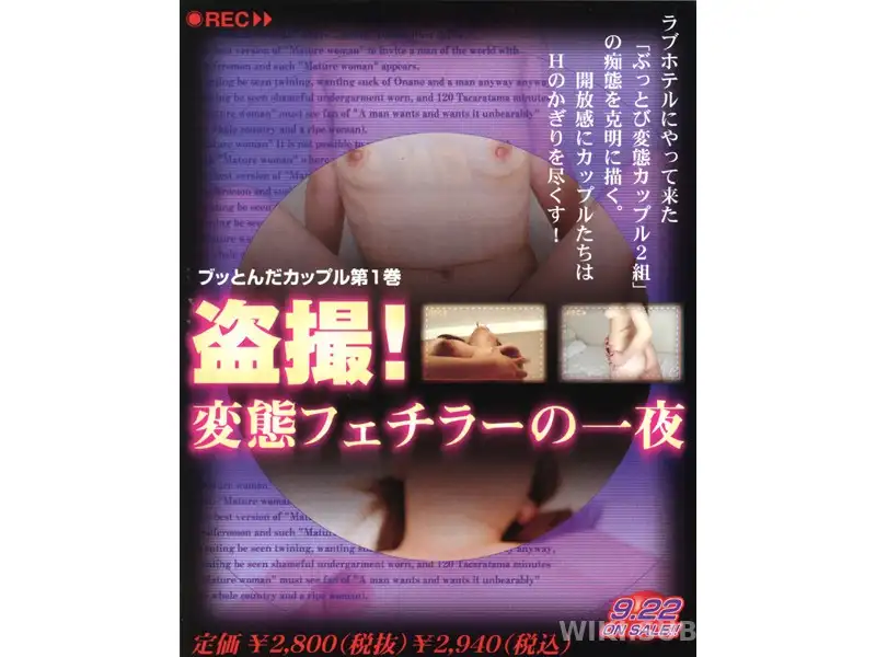 GSD-108 미친 커플들의 비밀 섹스, 러브호텔 몰카 시리즈 제1탄