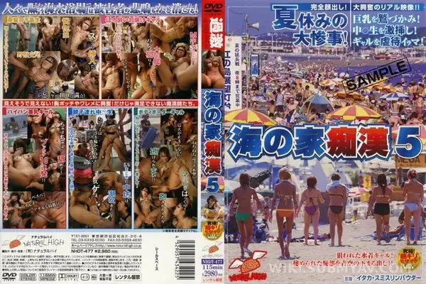 NHDT-477 海の家痴● 5