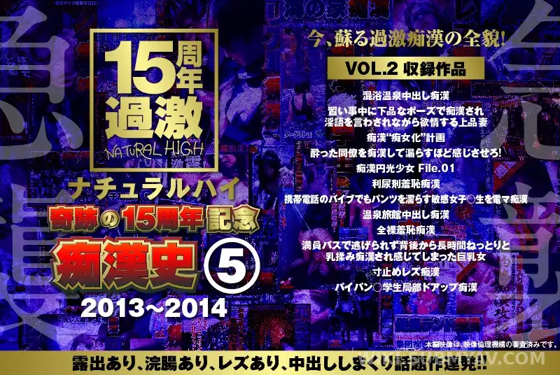 NHDTA-597-E-2 ナチュラルハイ奇跡の15周年記念 痴●史(5)2013-2014 VOL.2