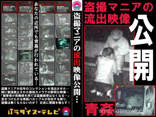PARAT-518 Stolen Footage: Inside the Secret Archive of a Voyeur Expert