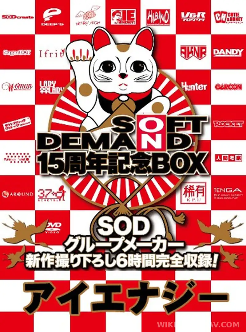 SDDS-017-D 女教師 奴●中出し 南つかさ