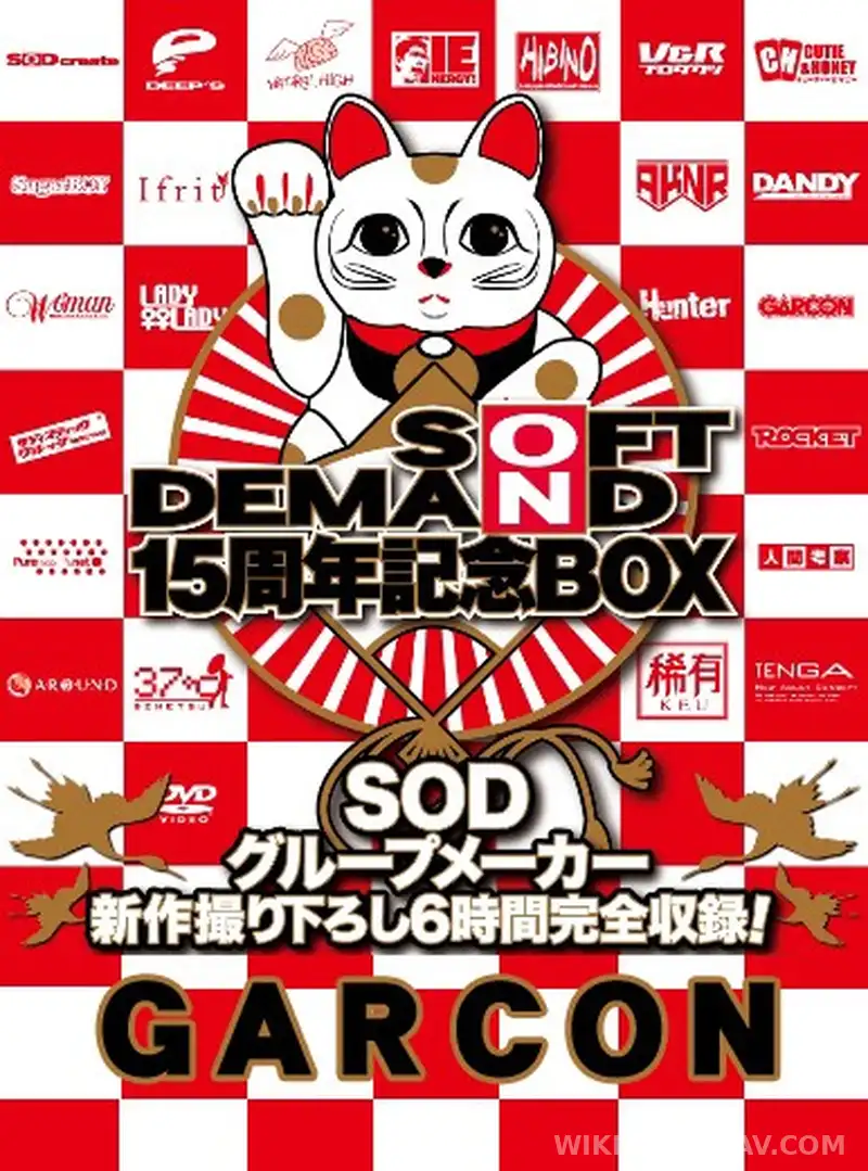SDDS-017-K 最強ギャルサー伝説 渋谷BLACK ~外伝~