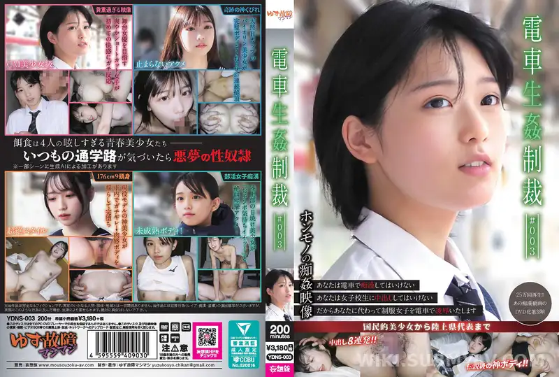 YDNS-003 電車生姦制裁 #003