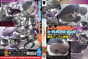 Hidden Cam in Setagaya Mall Bathroom, Set Up by Girl Friend