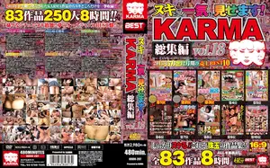 The Best of the Best: KARMA Compilation Vol. 18