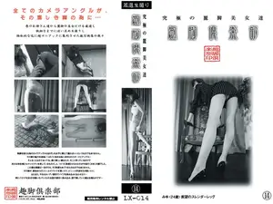 절대각선: 미친 다리 라인만 골라 담은 14번째 컬렉션
