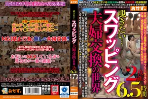 覗きたい…スワッピング夫婦交換の世界 2枚組6.5時間