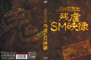 유출 금지! 세상에 나오면 안 될 역대급 하드코어 SM