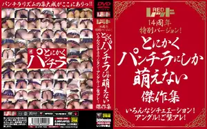 レッド14周年特別バージョン！ とにかくパンチラにしか萌えない傑作集 いろんなシチュエーション！アングル！ご覧アレ！
