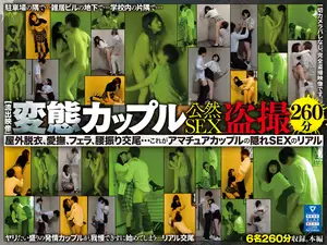 【流出映像】変態カップル 公然SEX盗撮 260分 屋外脱衣、愛撫、フェラ、腰振り交尾…これがアマチュアカップルの隠れSEXのリアル
