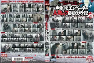 市営住宅エレベーター人妻レ●プ防犯カメラ映像2